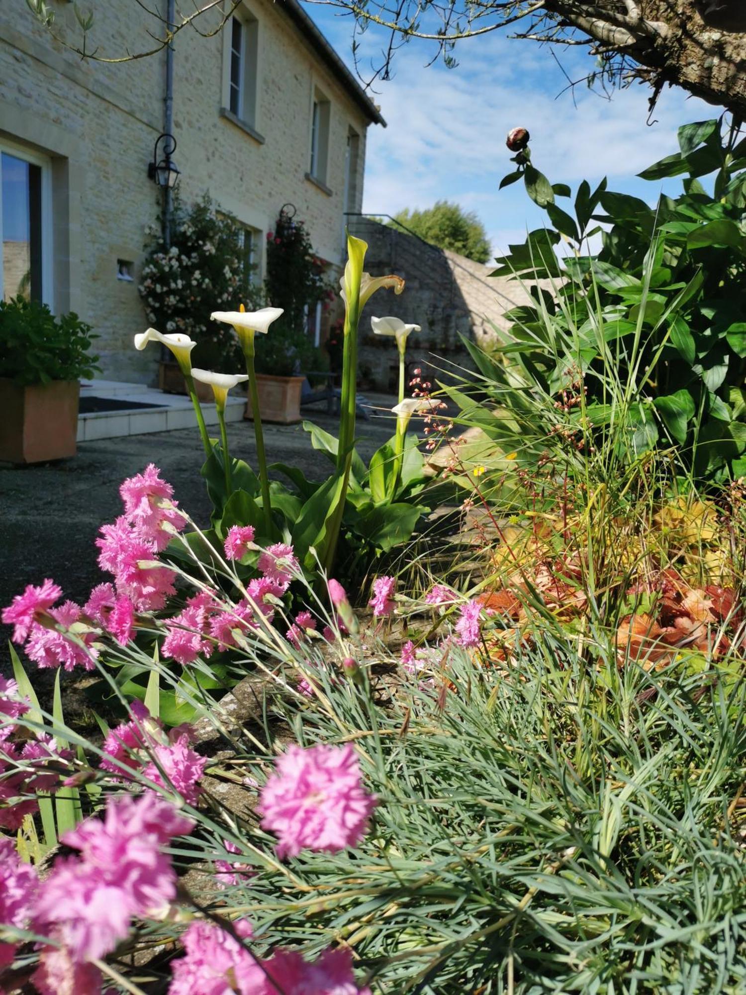Chambre De L'Iris Sainte-Croix-sur-Mer Exterior photo